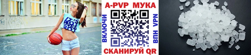 A PVP СК КРИС Белокуриха