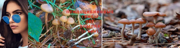 кокаин премиум Балабаново