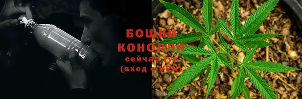 гашик Баксан