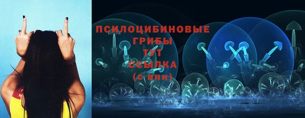 мяу мяу мука Балахна